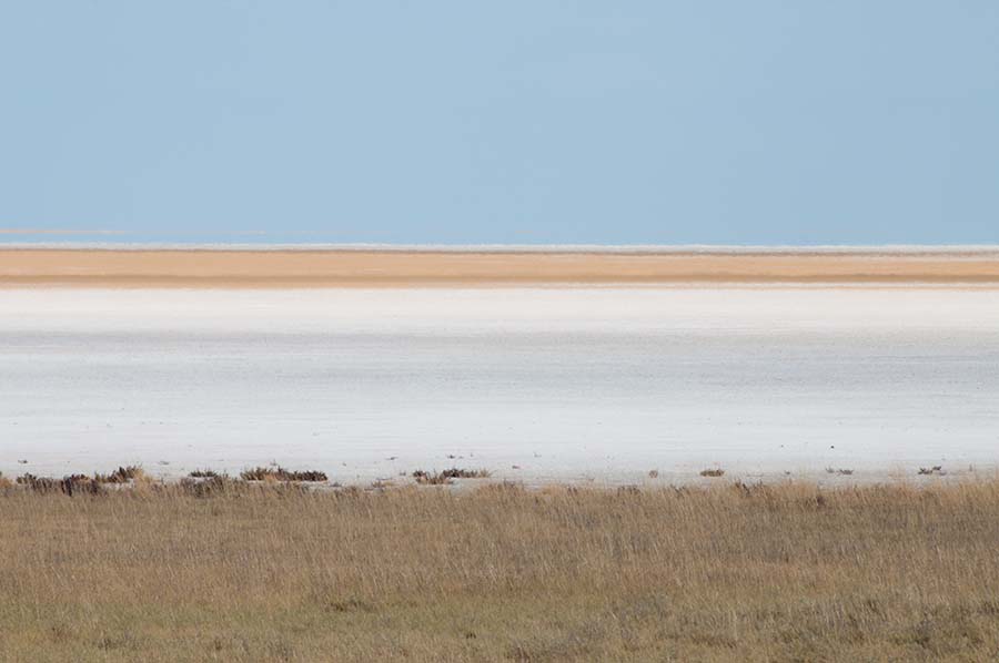 Etosha Pfanne, Namibia 2011.